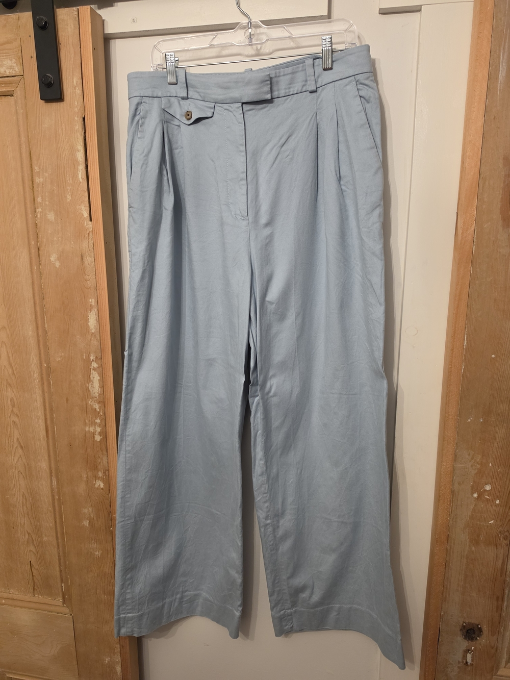 Banana Republic Women's Pale Blue Pleated Wide-Leg Chinos (14)